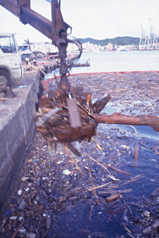納莉颱風之後、大量漂流木
