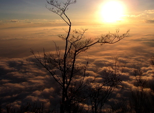 山大武山雲海中的落日