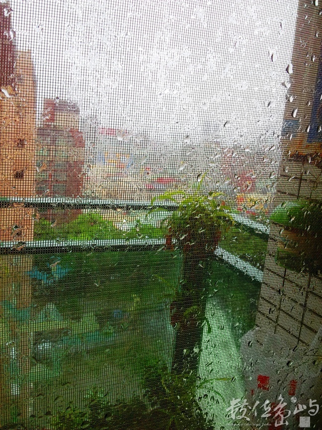 那天下午打在紗窗上的雨