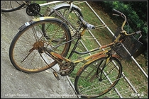 台大的腳踏車（Angenieux Lens）